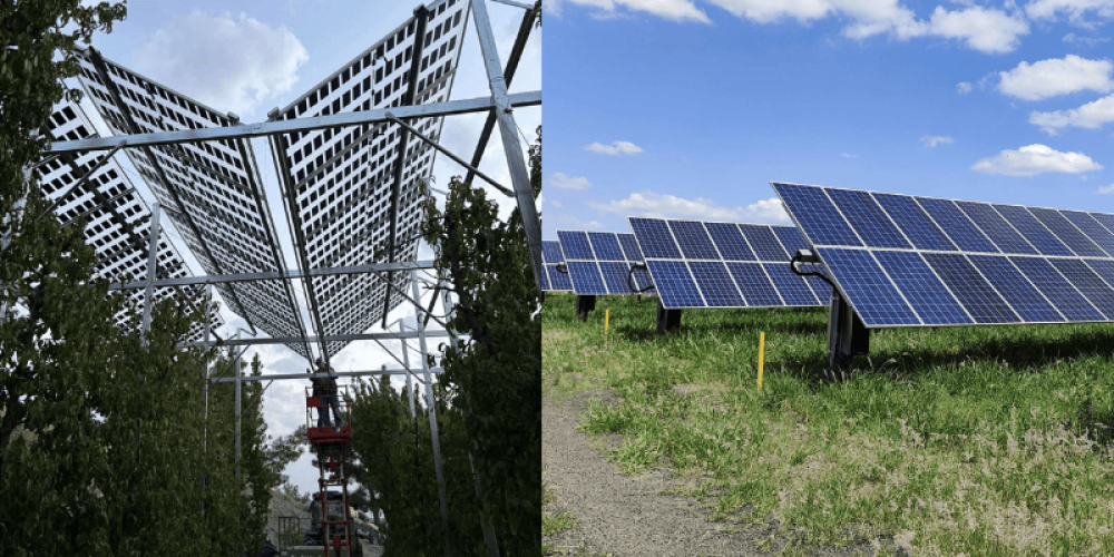 agri-pv-application-brite-solar-blog-12.png