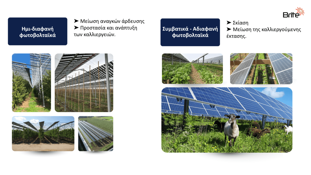 agrivoltaics-gia-xwrafia-stin-ellada.png