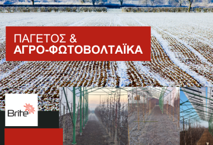 Οι αγροηλεκτρικές κατασκευές δημιουργούν ένα προστατευτικό στρώμα πάνω από τις καλλιέργειες, υποστηρίζοντας πιο σταθερές συνθήκες ανάπτυξης κατά τη διάρκεια περιόδων παγετού.