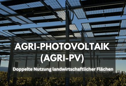 Agri-PV ermöglicht die gleichzeitige Nutzung von landwirtschaftlichen Flächen für Pflanzenbau und Solarenergie