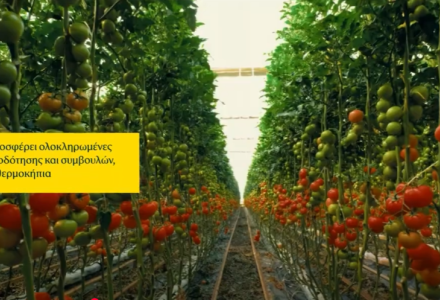 Agrivoltaics της Brite Solar – πράσινη ενέργεια για έναν βιώσιμο αγροτικό κόσμο