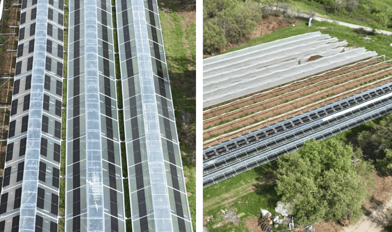 Brite Solar BSG-300/54-F and BSG-200/69-F panels on open field vineyard structure, Kilkis