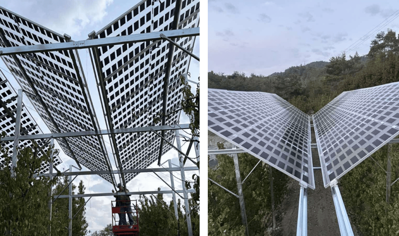 nstallation of Brite Solar Agri-PV structure over a nectarine orchard in Cyprus.