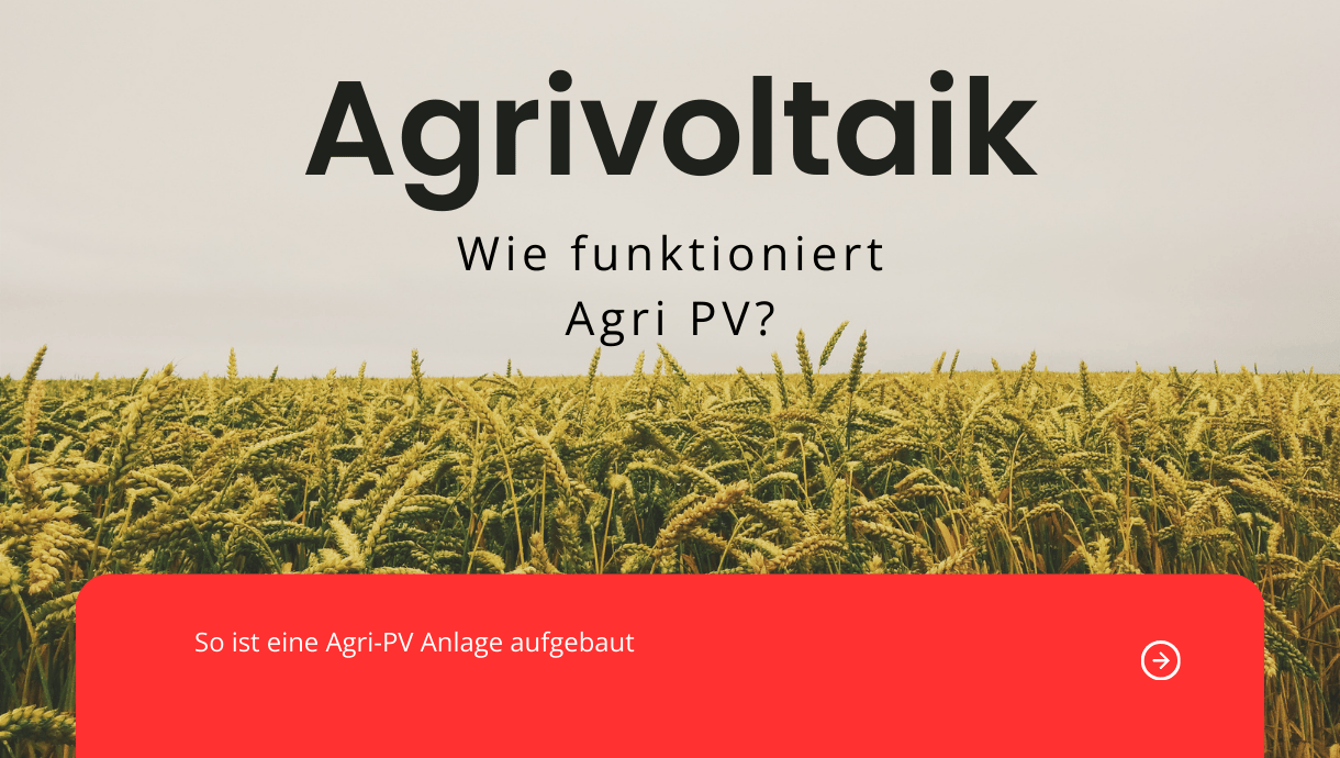 Agrivoltaik kombiniert landwirtschaftliche Nutzung mit Solarstromerzeugung auf derselben Fläche.