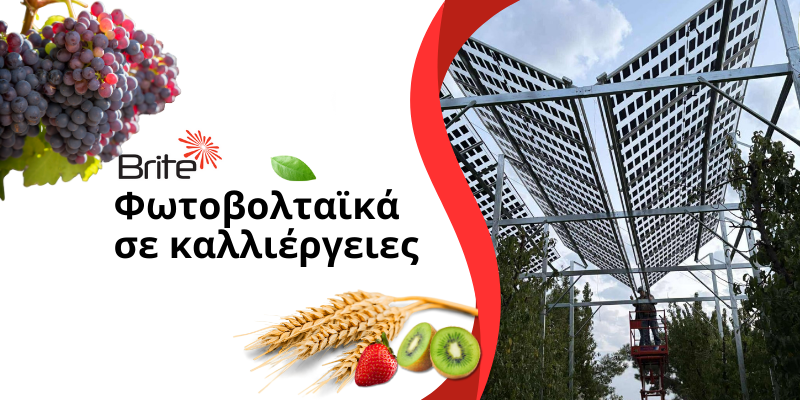 Αγροφωτοβολταϊκά στο χωράφι: προστασία καλλιέργειας και ενέργεια από τον ήλιο