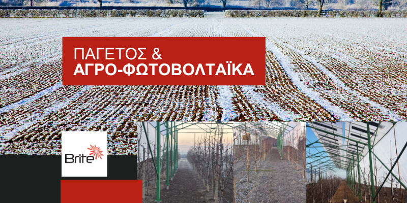 Οι αγροηλεκτρικές κατασκευές δημιουργούν ένα προστατευτικό στρώμα πάνω από τις καλλιέργειες, υποστηρίζοντας πιο σταθερές συνθήκες ανάπτυξης κατά τη διάρκεια περιόδων παγετού.