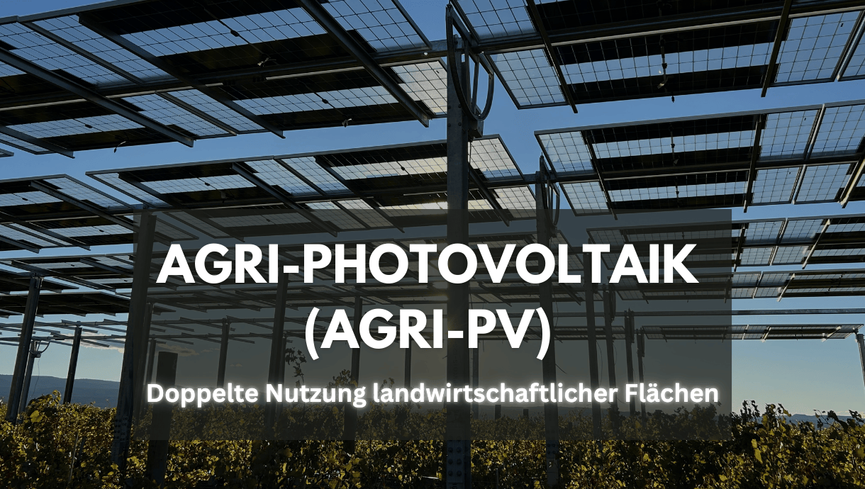 Agri-PV ermöglicht die gleichzeitige Nutzung von landwirtschaftlichen Flächen für Pflanzenbau und Solarenergie