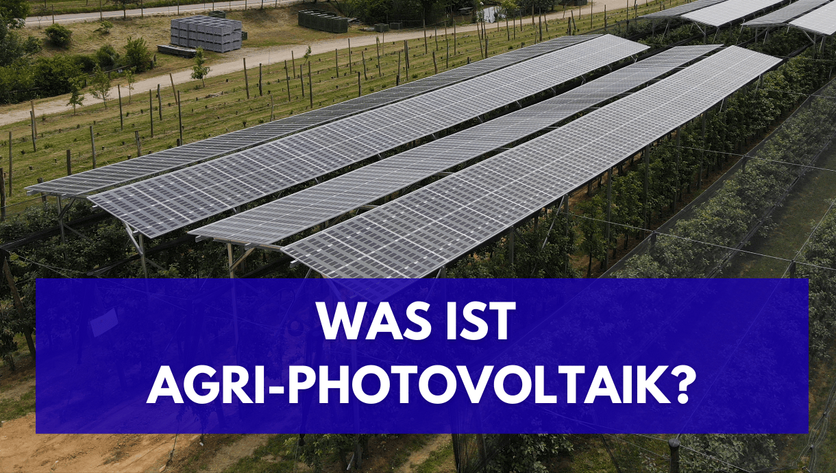 Was ist Agri-Photovoltaik? Doppelte Nutzung landwirtschaftlicher Flächen