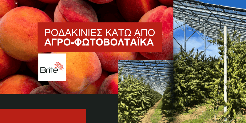 Φωτοβολταϊκά στο χωράφι στην Ημαθία από την Brite Solar, έργο SolarHub για βιώσιμη γεωργία