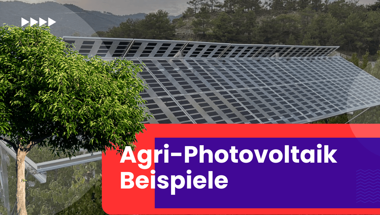 Agri Photovoltaik Beispiele Deutschland zeigen, wie landwirtschaftliche Flächen effizient doppelt genutzt werden können