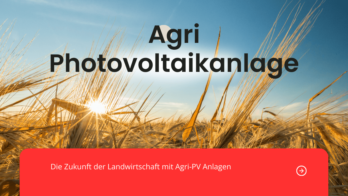 Halbtransparentes Solarglas ermöglicht gleichzeitig Pflanzenwachstum und Solarstromproduktion.