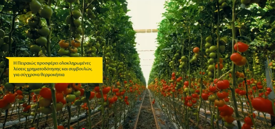 Agrivoltaics της Brite Solar – πράσινη ενέργεια για έναν βιώσιμο αγροτικό κόσμο